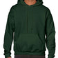 Gildan Heavy Blend Hooded Sweatshirt - GD57 (18500) - Academic Clubs