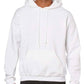 Gildan Heavy Blend Hooded Sweatshirt - GD57 (18500) - Academic Clubs